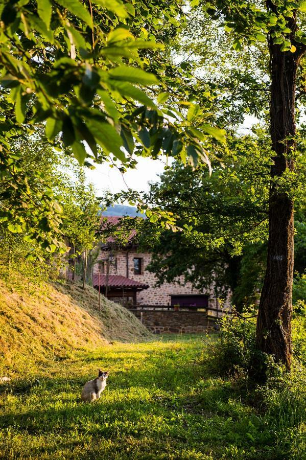 Apartament Gorosarri Escoriaza Zewnętrze zdjęcie
